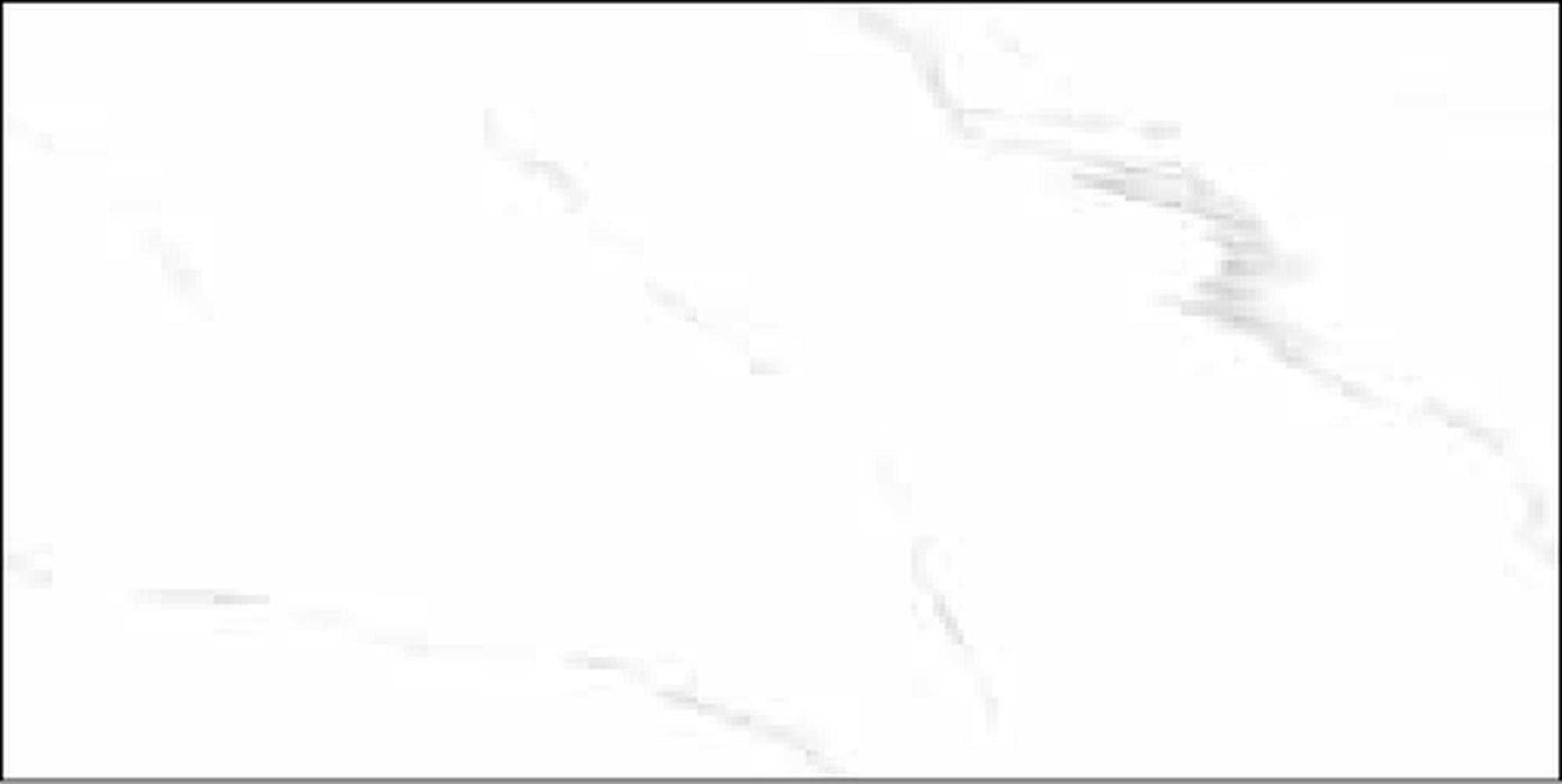 Goodwill Ceramic Wall Tile Statuario White / Grey Glossy, 300 x 600 mm — Carton(s)