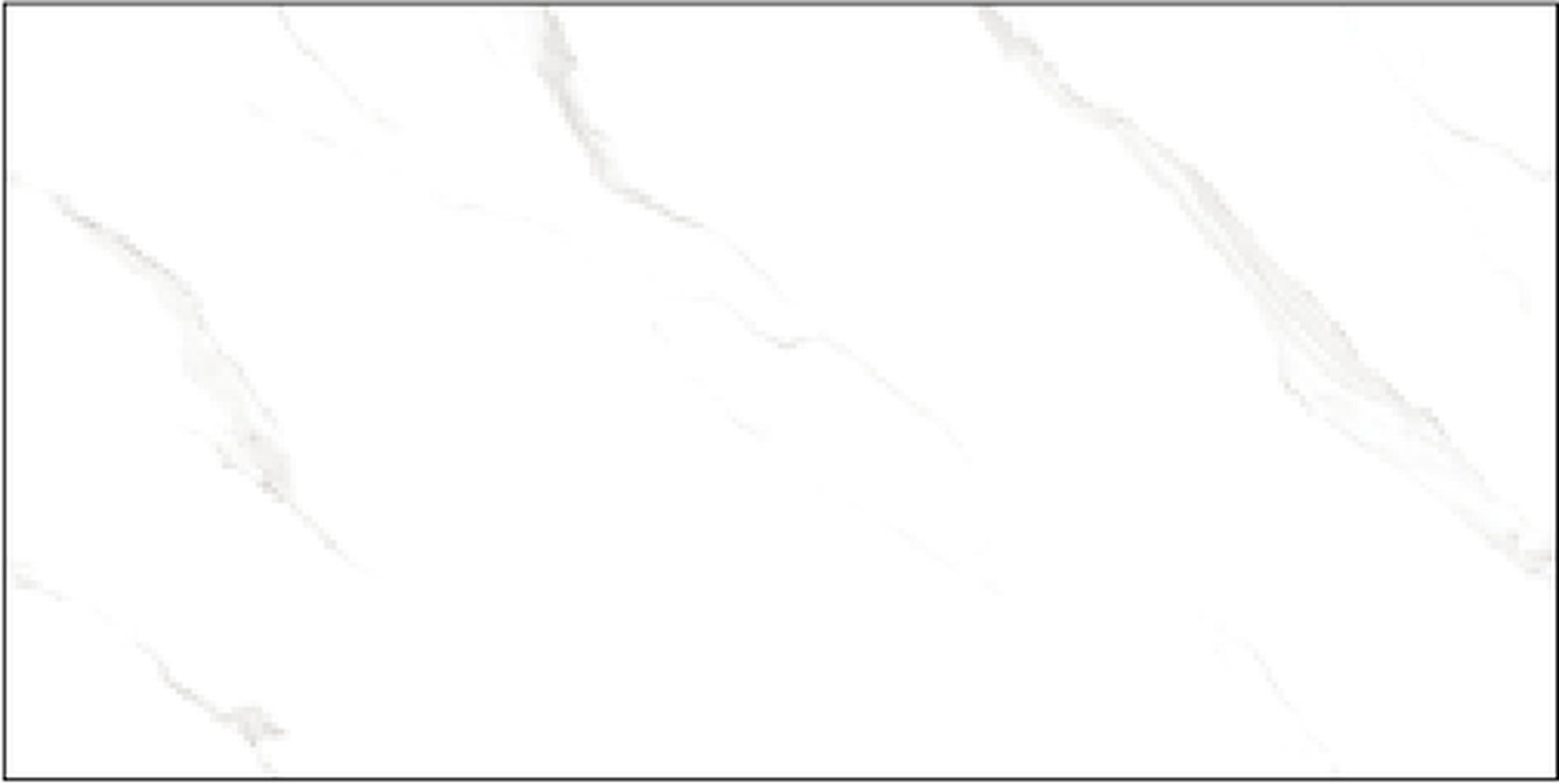 Goodwill Ceramic Wall Tile Statuario White / Grey Glossy, 300 x 600 mm — Carton(s)